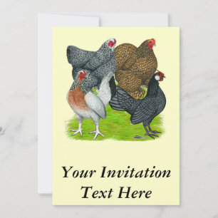 Bantam Hen-kvartetten Inbjudningar