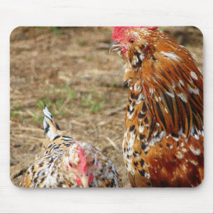 Bantam Hen och Tupp Musmatta