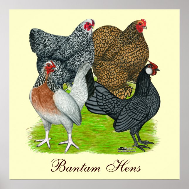 Bantam Hen Quartet, Bantam Hens Poster (Framsidan)