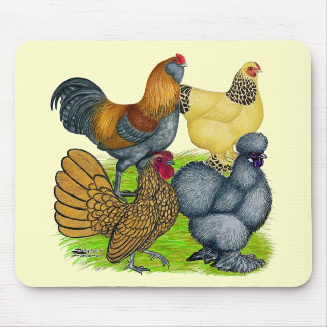 Bantam-kvartetten Musmatta (Framsidan)