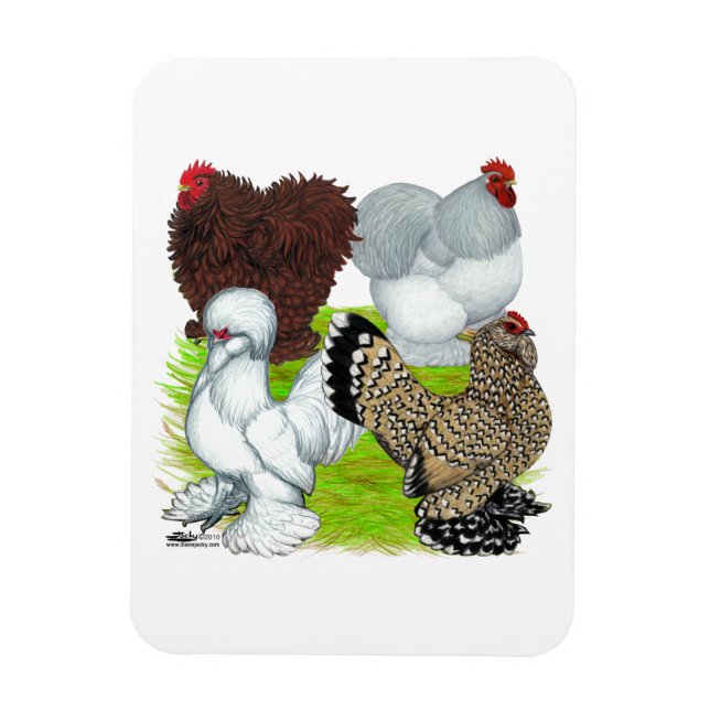 Bantams Feather Legged Magnet (Vertikal)