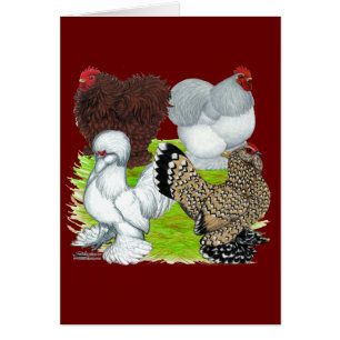 Bantams Feather Legged OBS Kort