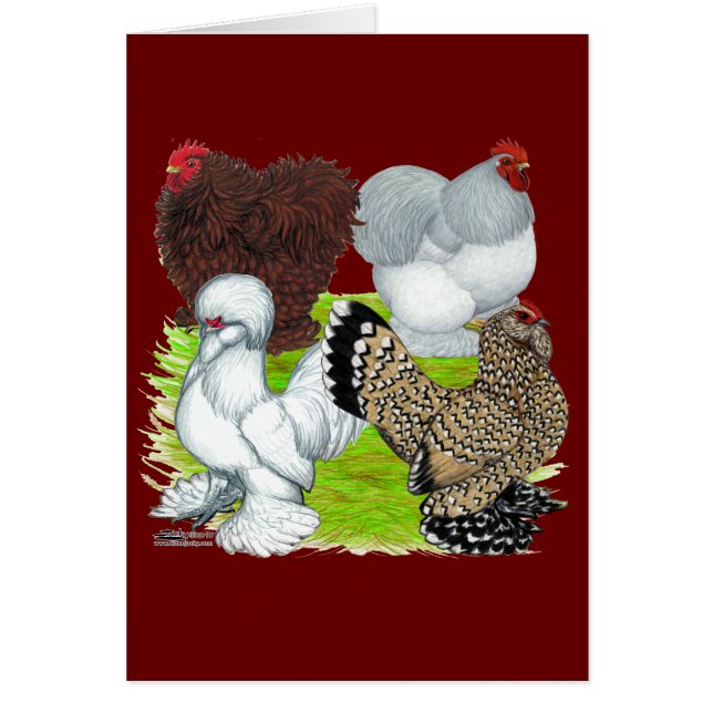 Bantams Feather Legged OBS Kort (Framsidan)