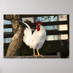 Bantamtupp Poster