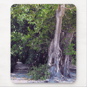Banyan Street Mousepad Musmatta