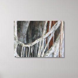 Banyan Träd Closeup Photo Canvastryck