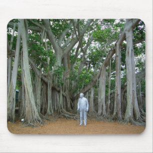 Banyan Träd Edison & Ford Gods Ft Myers Florida Musmatta