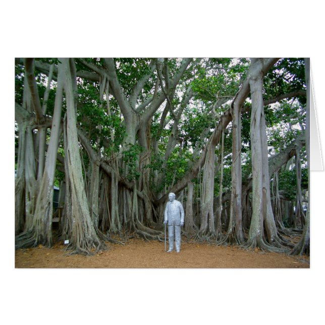 Banyan Träd Edison & Ford Gods Ft Myers Florida OBS Kort (Framsidan Horizontal)