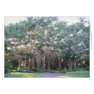 Banyan Träd Hälsningskort