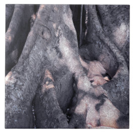 Banyan Träd Kakelplatta