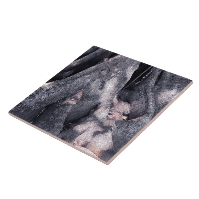 Banyan Träd Kakelplatta (Sidan)