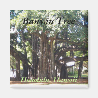 Banyan Träd Magnet