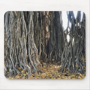 Banyan Träd Musmatta