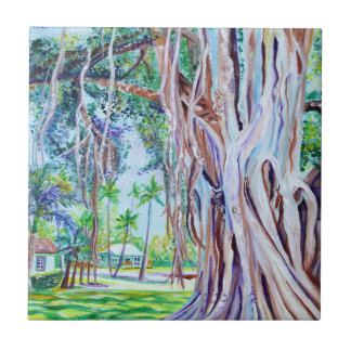Banyan Träd vid Waimea Plantation Cottages Kakelplatta