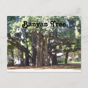 Banyan Träd Vykort