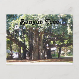 Banyan Träd Vykort