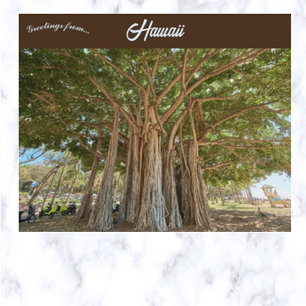 Banyan Tree Queens Beach I Honolulu Oahu Hawaii Vykort