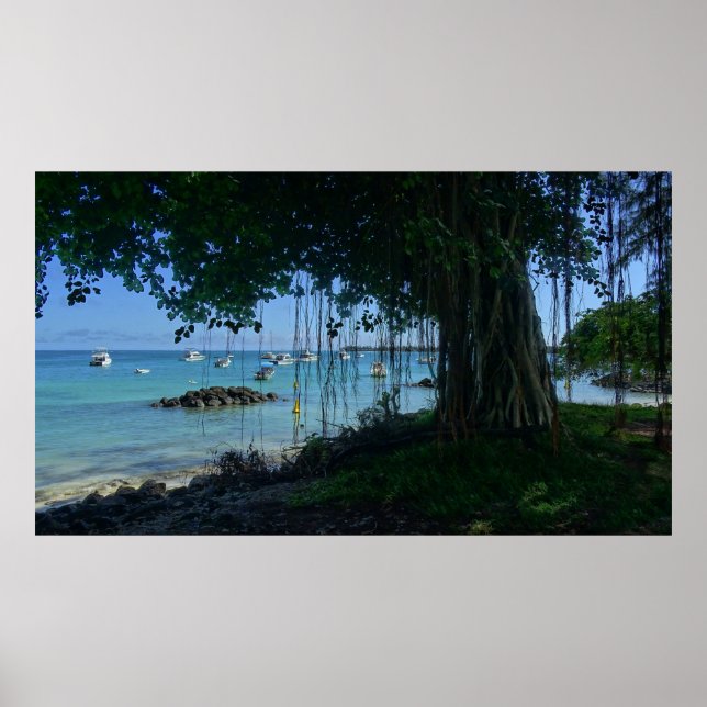 Banyan vid Beach Poster (Framsidan)