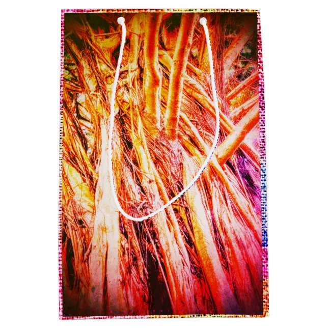 Banyan/Wander med stjärndagen, (Framsidan)