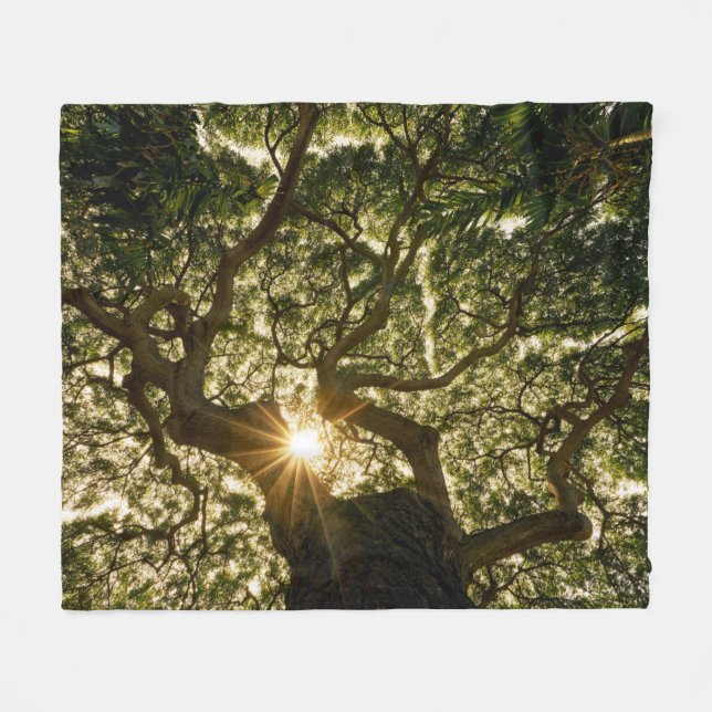 BanyanträdCanopy Sunstar Fleecefilt (Framsidan (Horisontell))