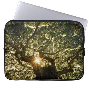 BanyanträdCanopy Sunstar Laptop Fodral