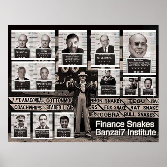 Banzai7 Finance Snakes Poster (Framsidan)