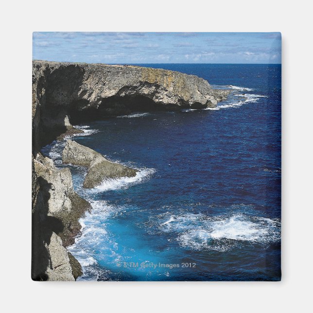 Banzai Cliff Magnet (Framsidan)