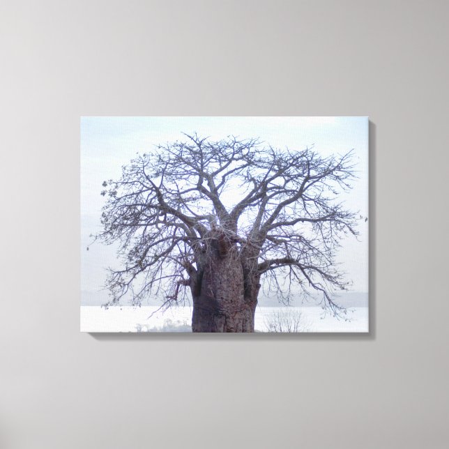 Baobab (Adansonia Digitata), Luanda Canvastryck (Framsida)
