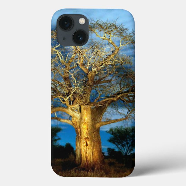 Baobab (Adansonia) Träd lätt upp av Måne (Baksida)