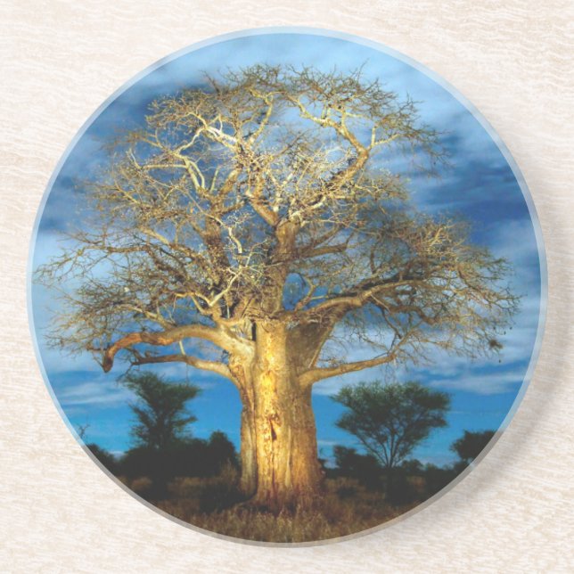 Baobab (Adansonia) Träd Upplyst Av Månen Underlägg (Framsidan)