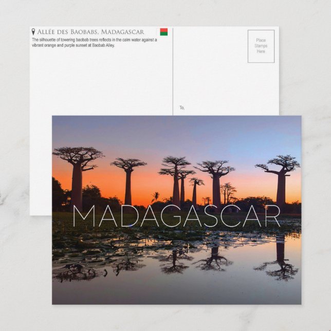 Baobab Alley, Madagaskar Resebrevkort Vykort (Fram/baksida)