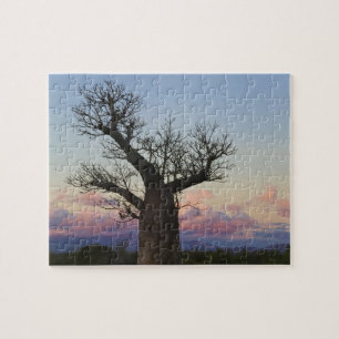 Baobab träd, Berjo, Toliara, Madagaskar Pussel