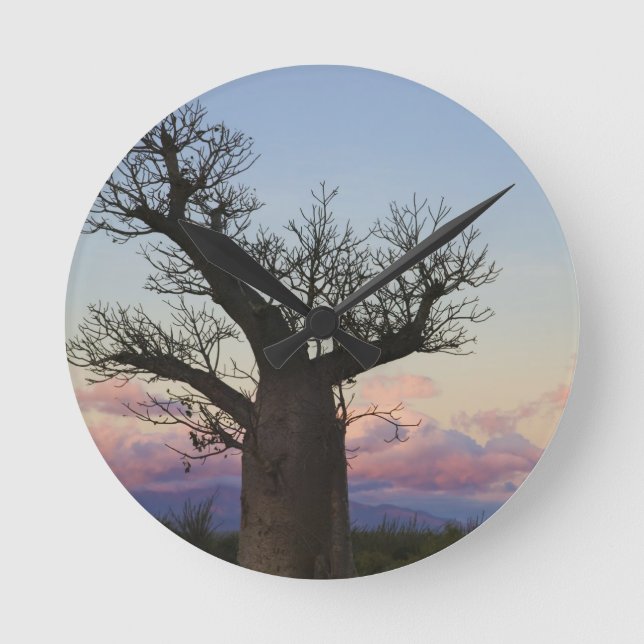 Baobab träd, Berjo, Toliara, Madagaskar Rund Klocka (Framsida)