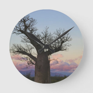 Baobab träd, Berjo, Toliara, Madagaskar Rund Klocka