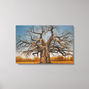 Baobab Träd Canvastryck