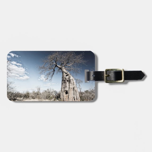 Baobab Träd vid Mana Bassäng nationalpark i Zimbab Bagagebricka (Horisontell Framsida)
