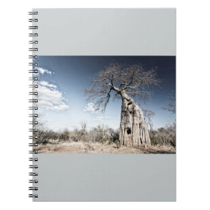 Baobab Träd vid Mana Bassäng nationalpark, Zimbabw Anteckningsbok Med Spiral