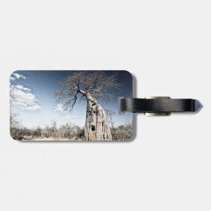 Baobab Träd vid Mana Bassäng nationalpark, Zimbabw Bagagebricka
