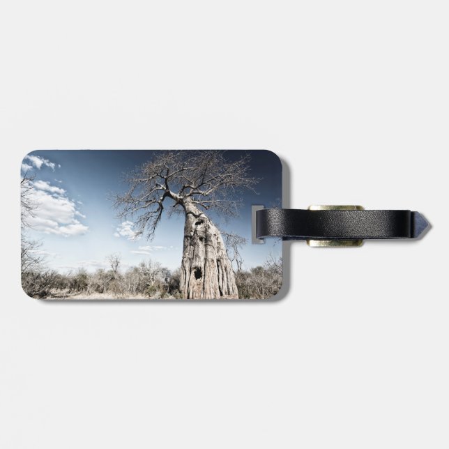 Baobab Träd vid Mana Bassäng nationalpark, Zimbabw Bagagebricka (Baksida Vågrät)