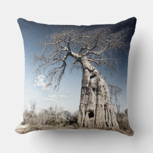 Baobab Träd vid Mana Bassäng nationalpark, Zimbabw Kudde