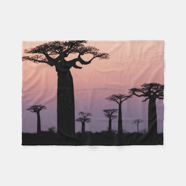 Baobabgränden, Madagaskar, Morondava, Afrika, Fleecefilt (Framsidan (Horisontell))