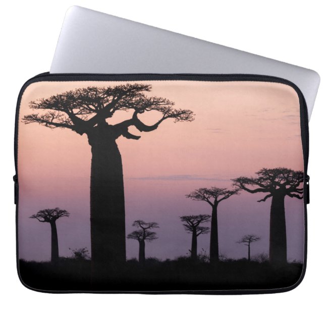 Baobabgränden, Madagaskar, Morondava, Afrika, Laptop Fodral (Framsidan)