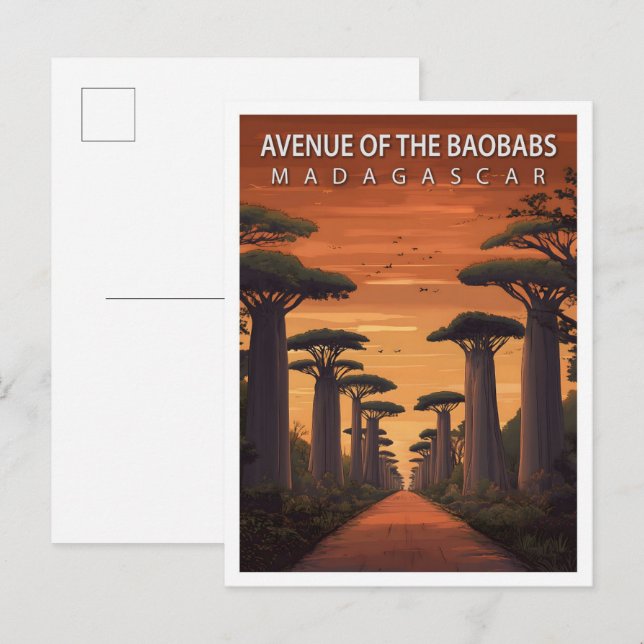 Baobabträdens allé Madagaskar konst resor Vykort (Fram/baksida)
