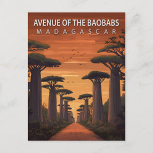 Baobavernas allé Madagaskar Afrikansk natur Vykort