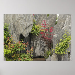 Baos familjeträdgård, Huangshan, China. Poster