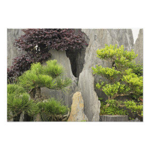 Baos familjträdgård, Huangshan, Kina. 2 Fototryck