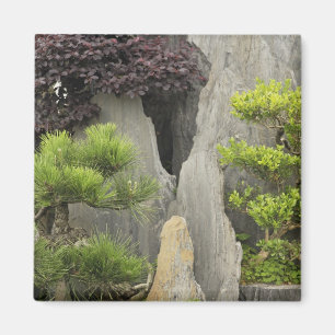 Baos familjträdgård, Huangshan, Kina. 2 Magnet