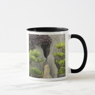 Baos familjträdgård, Huangshan, Kina. 2 Mugg