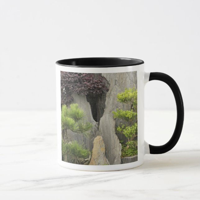 Baos familjträdgård, Huangshan, Kina. 2 Mugg (Höger)