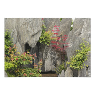 Baos familjträdgård, Huangshan, Kina. Fototryck